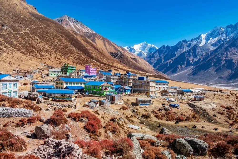 Langtang valley t