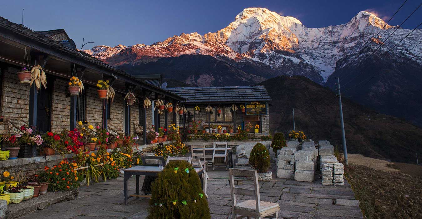 Tea houset rekinnepal