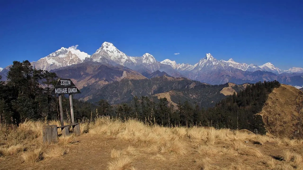 Mohare danda trek