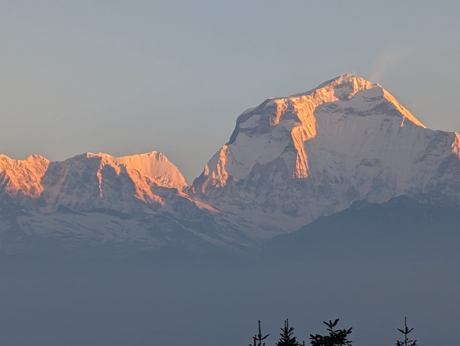 118a84e9 E53d 4ad2 Baee 2f80fdc319ea