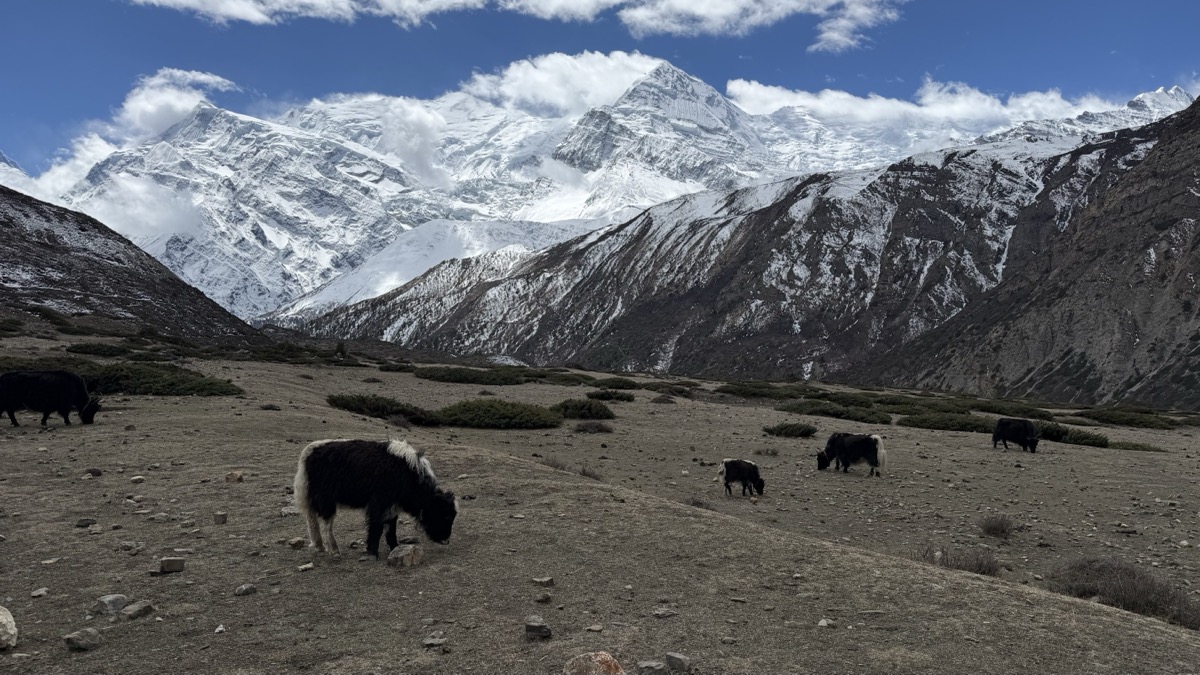 Annapurna circuit